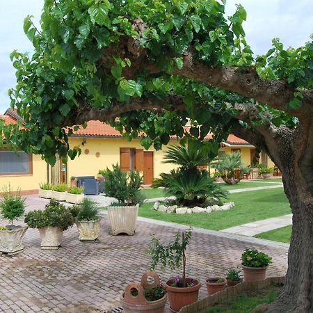 Le Terre Di Bac Panzió Borgo Montenero Kültér fotó